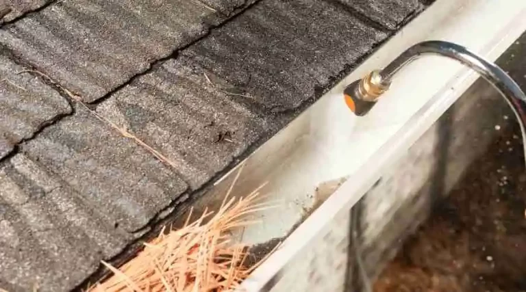 How Much Does Gutter Cleaning Cost?