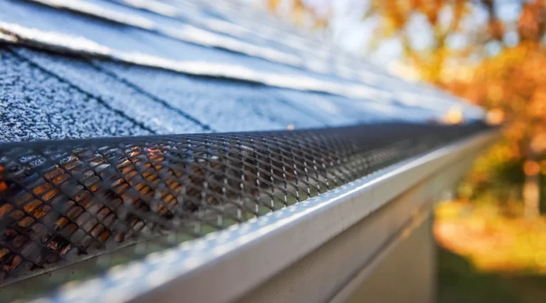 gutter guards along gutter