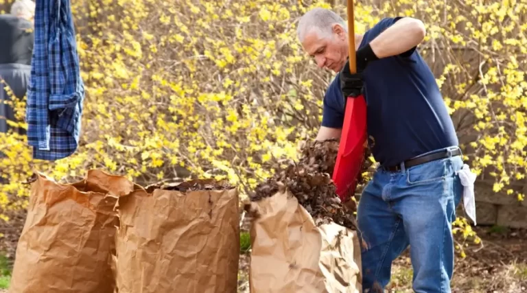 man placing dry leaves in big paper bags