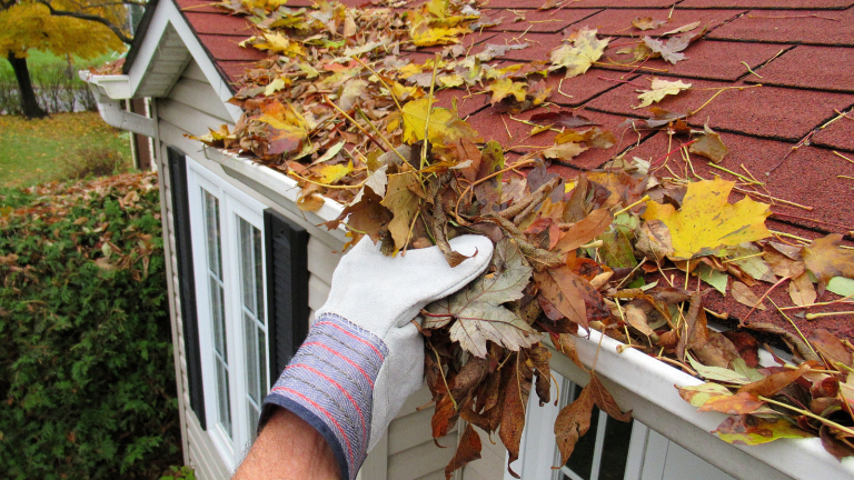 Gutter cleaning