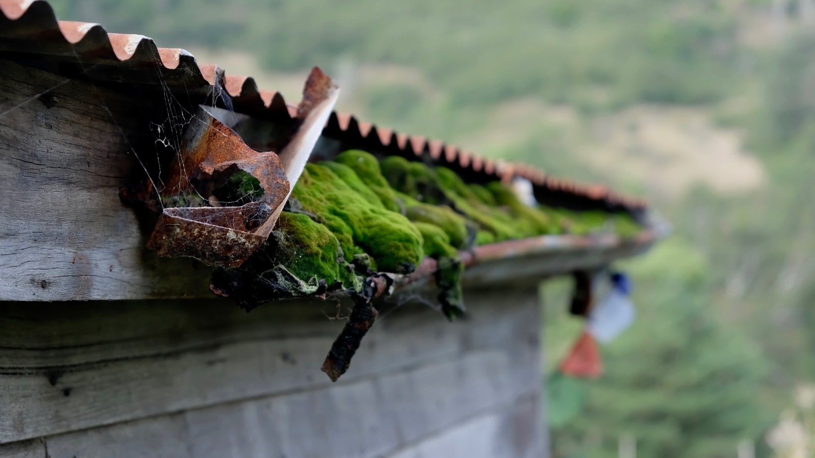 Gutter cleaning